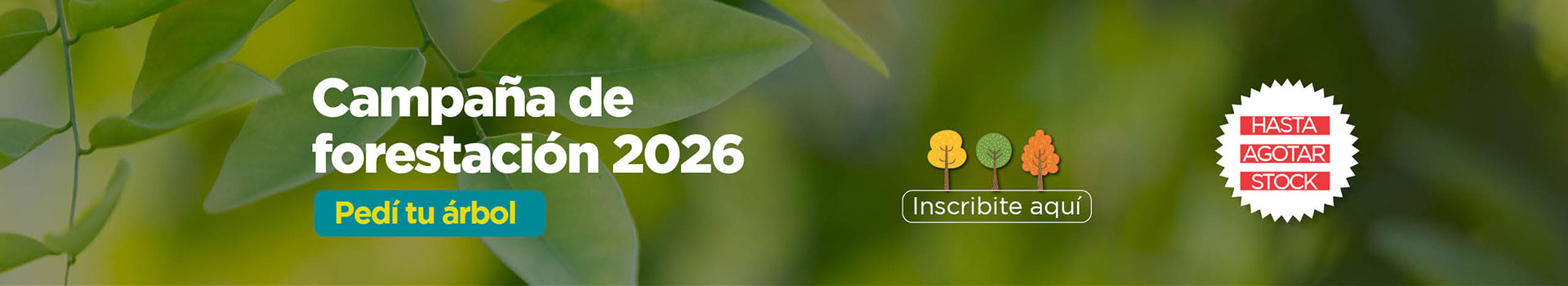 Forestación 2026